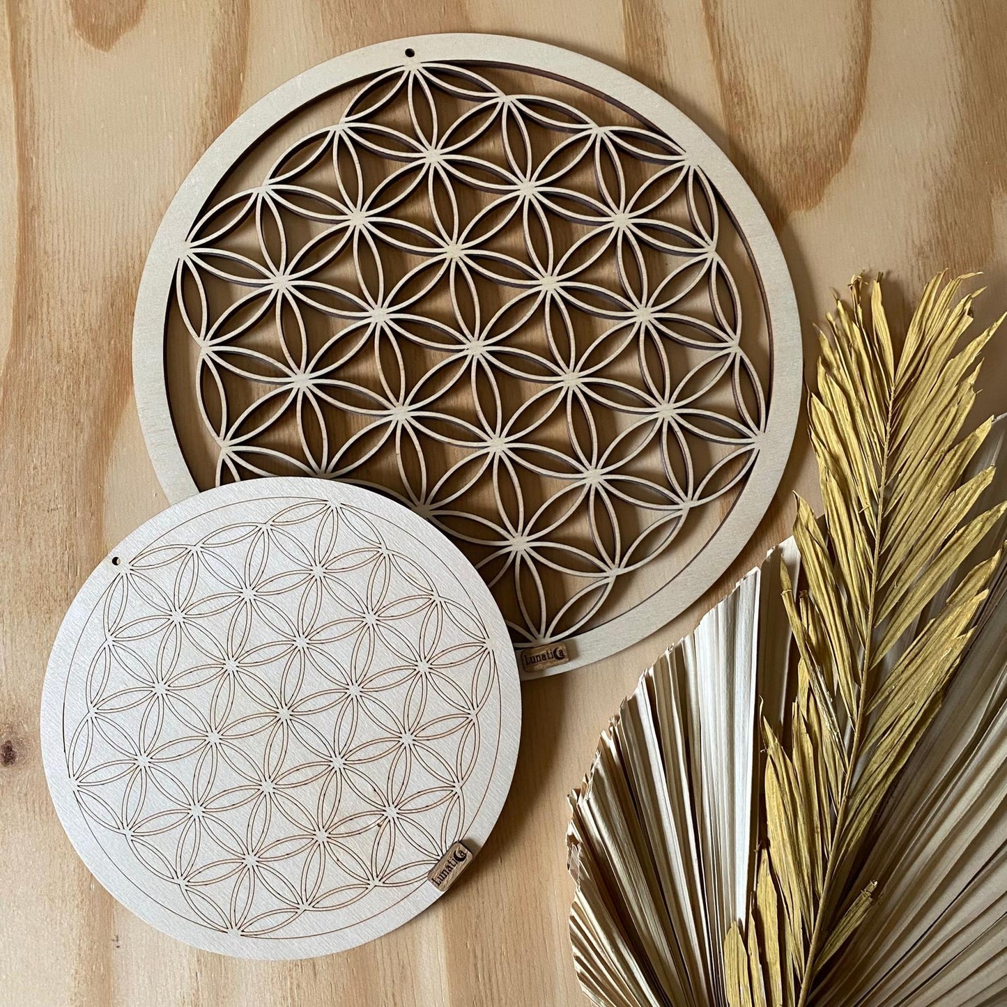 Fiore e seme della vita ✨