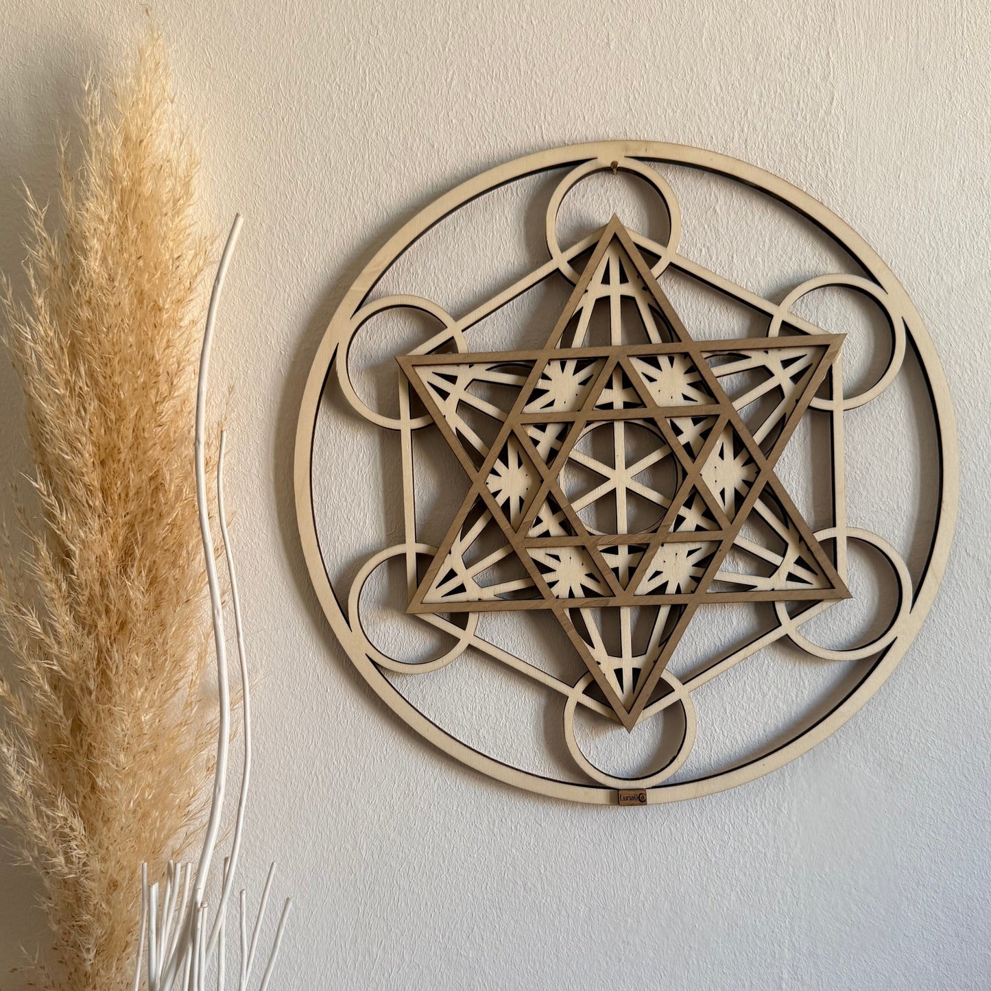 Cubo di Metatron ✨