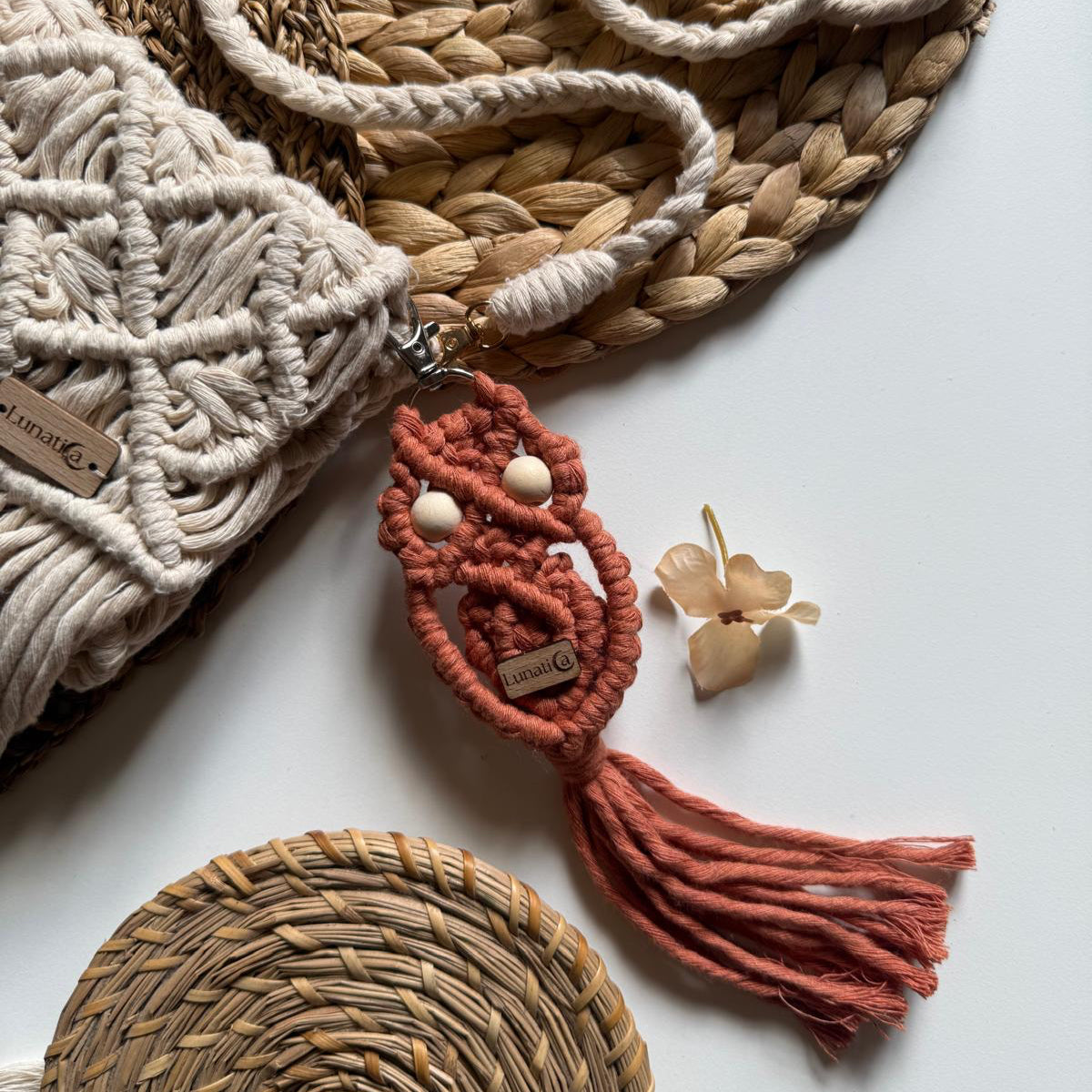 Gufo Portafortuna 🦉(+9 Varianti colore)